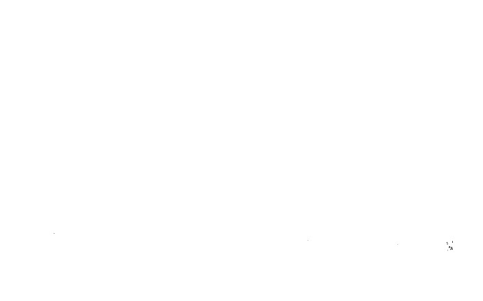 Wellenberg Trails - Legale Mountainbiketrails in Neuenrade / Sauerland